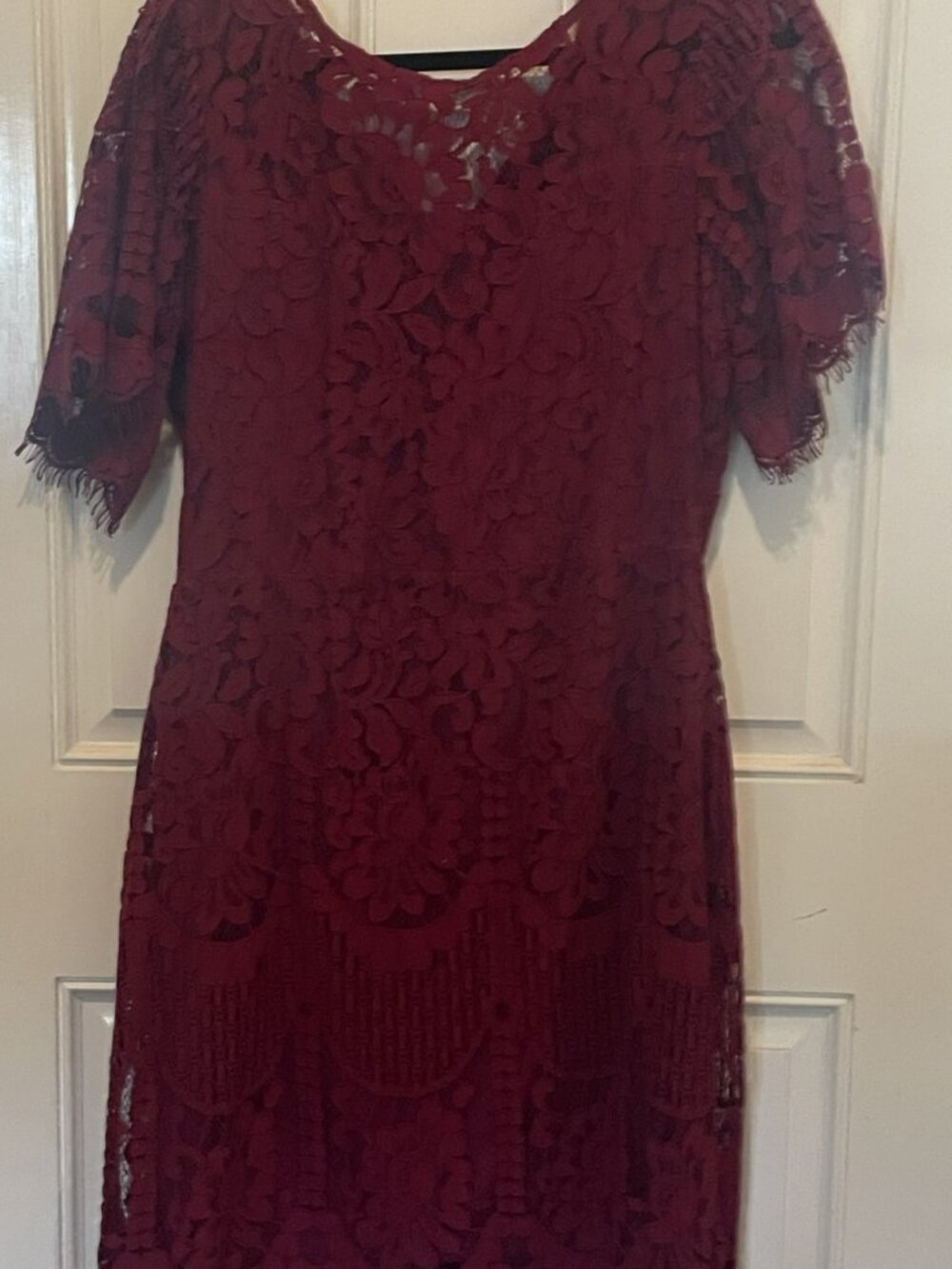 NWOT Lulus Peason Lace Short Sleeve Dress XL